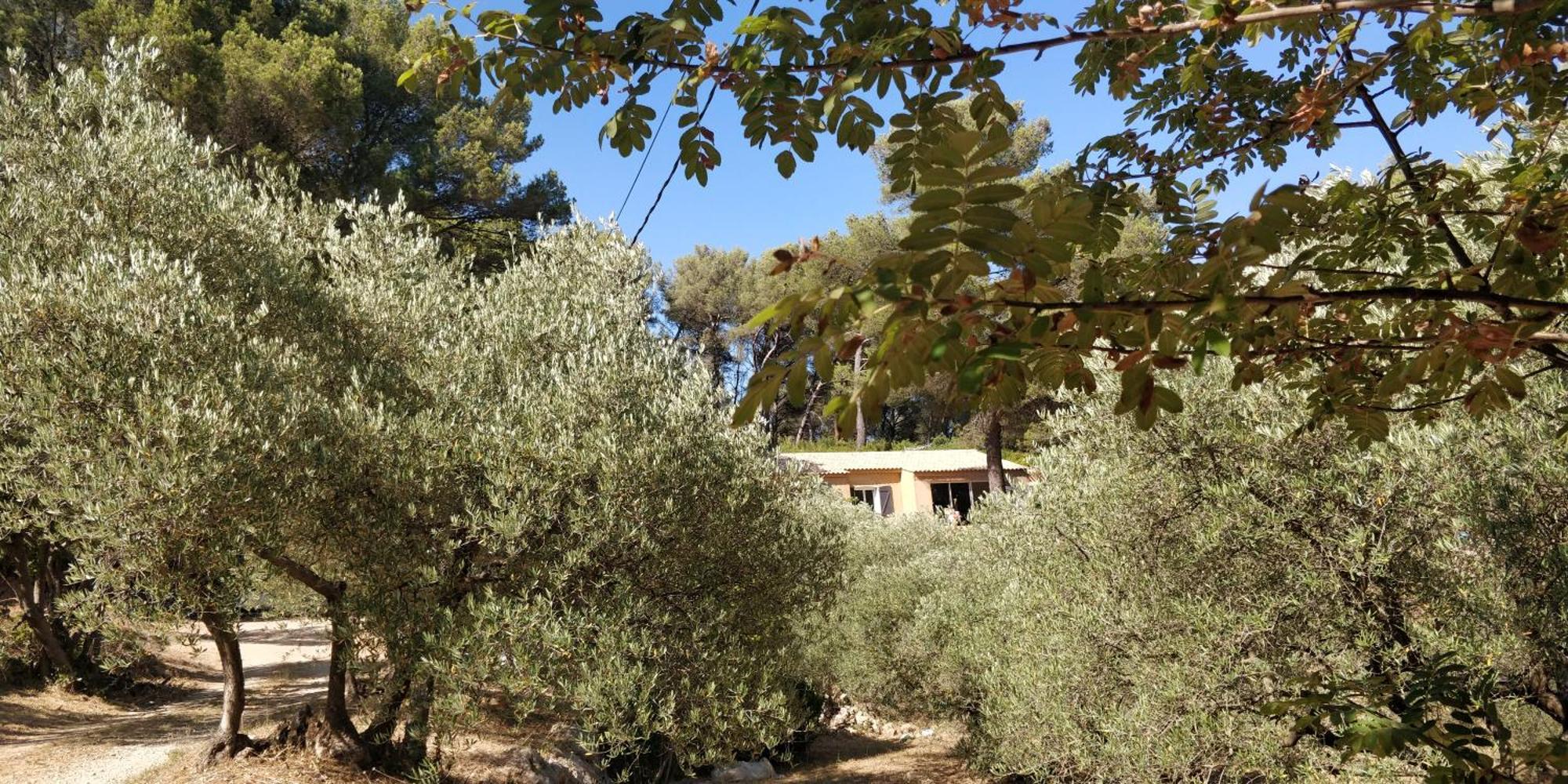 Villa Cigalons En Pleine Pinede Avec Piscine Chauffee De Mai A Septembre Auriol Exteriér fotografie