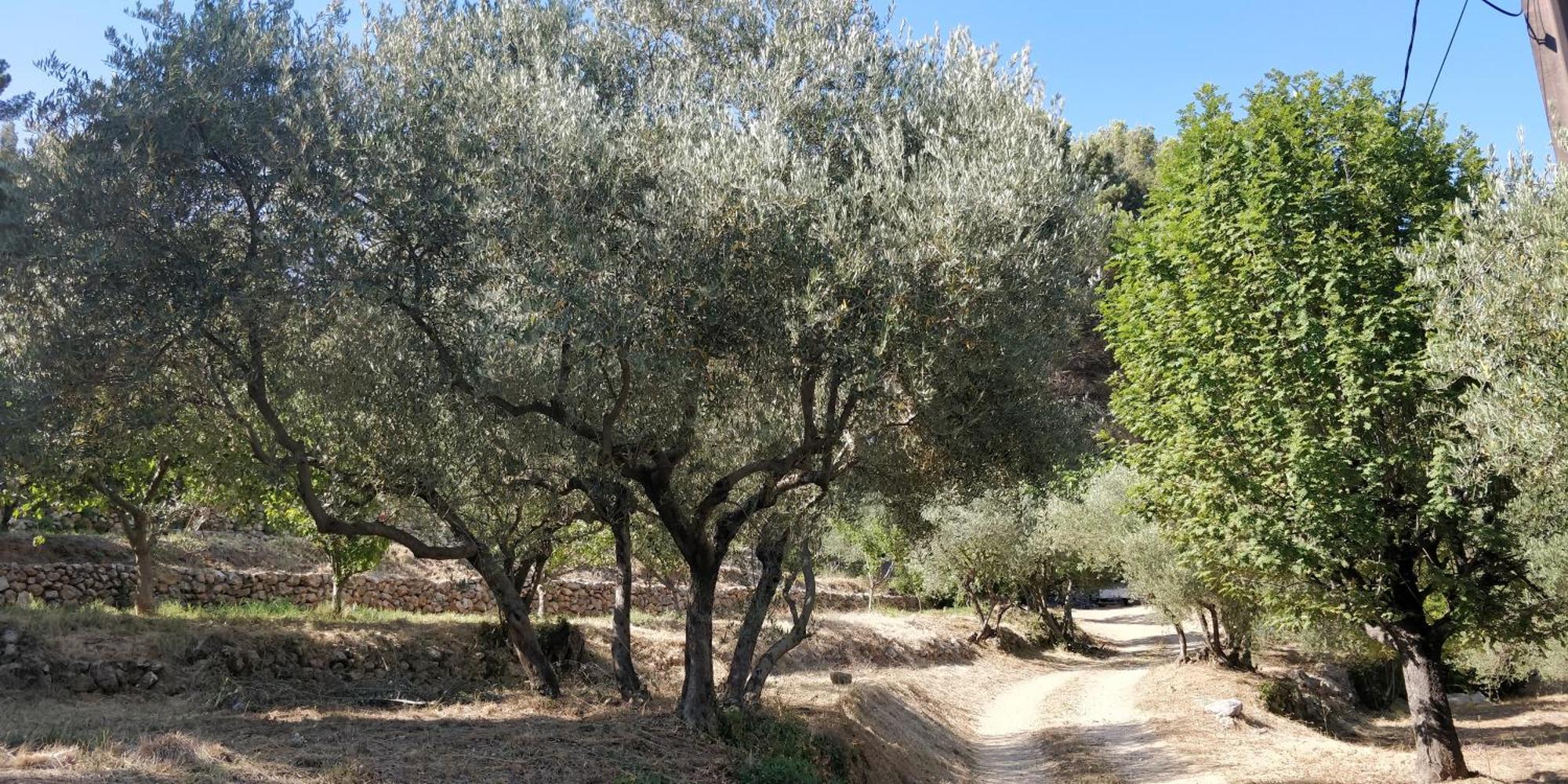 Villa Cigalons En Pleine Pinede Avec Piscine Chauffee De Mai A Septembre Auriol Exteriér fotografie