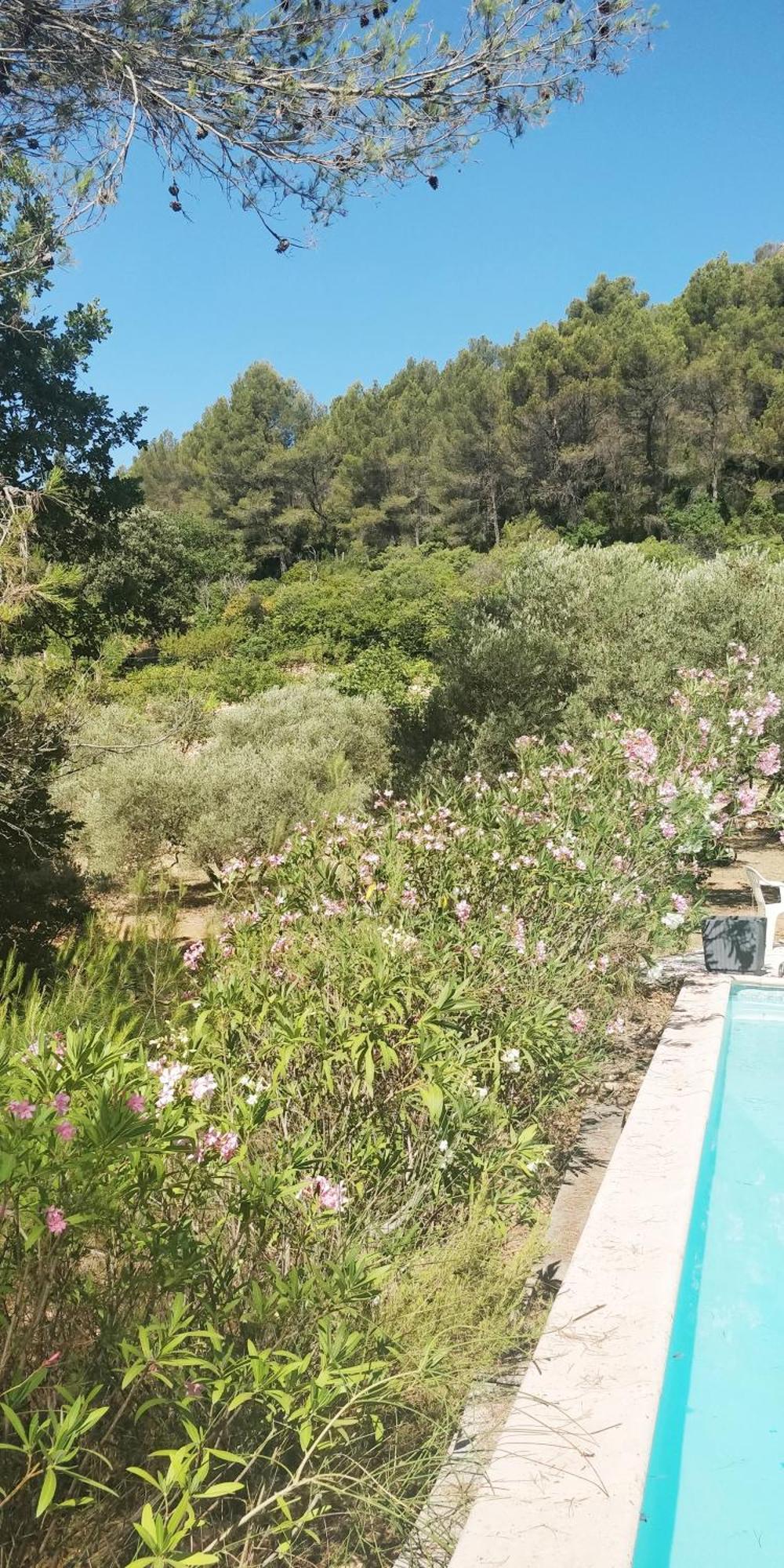 Villa Cigalons En Pleine Pinede Avec Piscine Chauffee De Mai A Septembre Auriol Exteriér fotografie