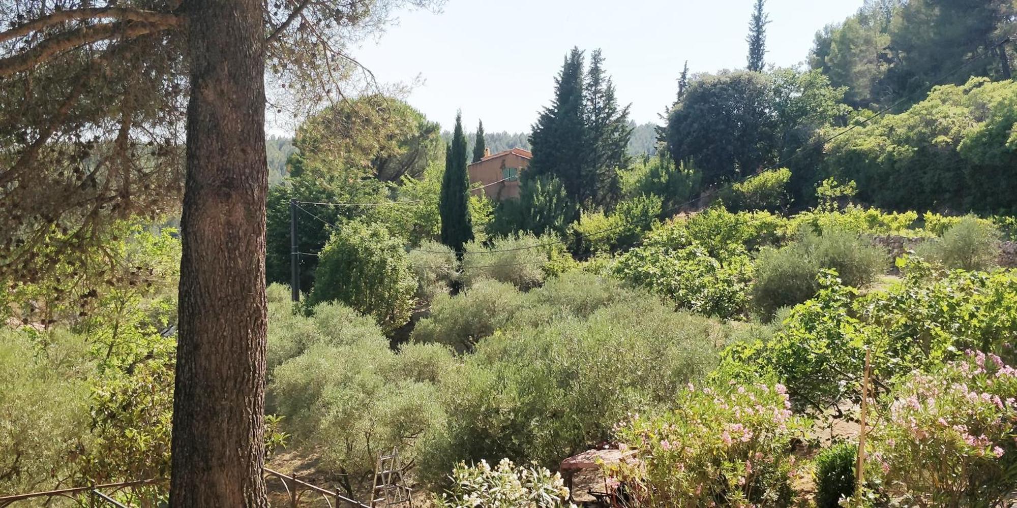 Villa Cigalons En Pleine Pinede Avec Piscine Chauffee De Mai A Septembre Auriol Exteriér fotografie