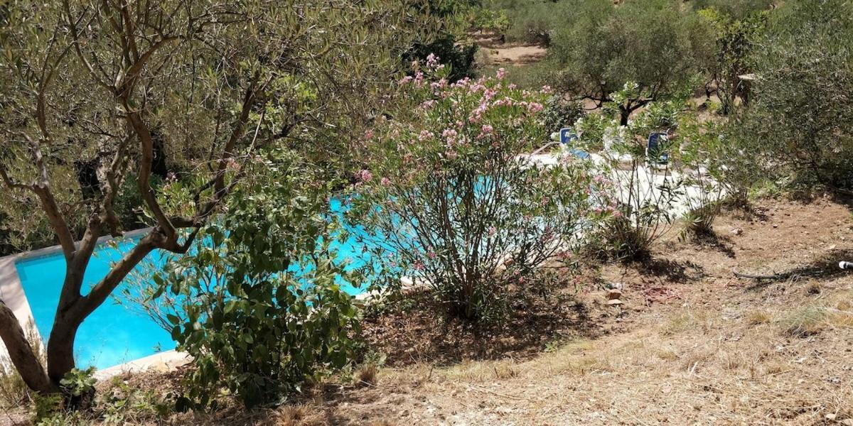 Villa Cigalons En Pleine Pinede Avec Piscine Chauffee De Mai A Septembre Auriol Exteriér fotografie