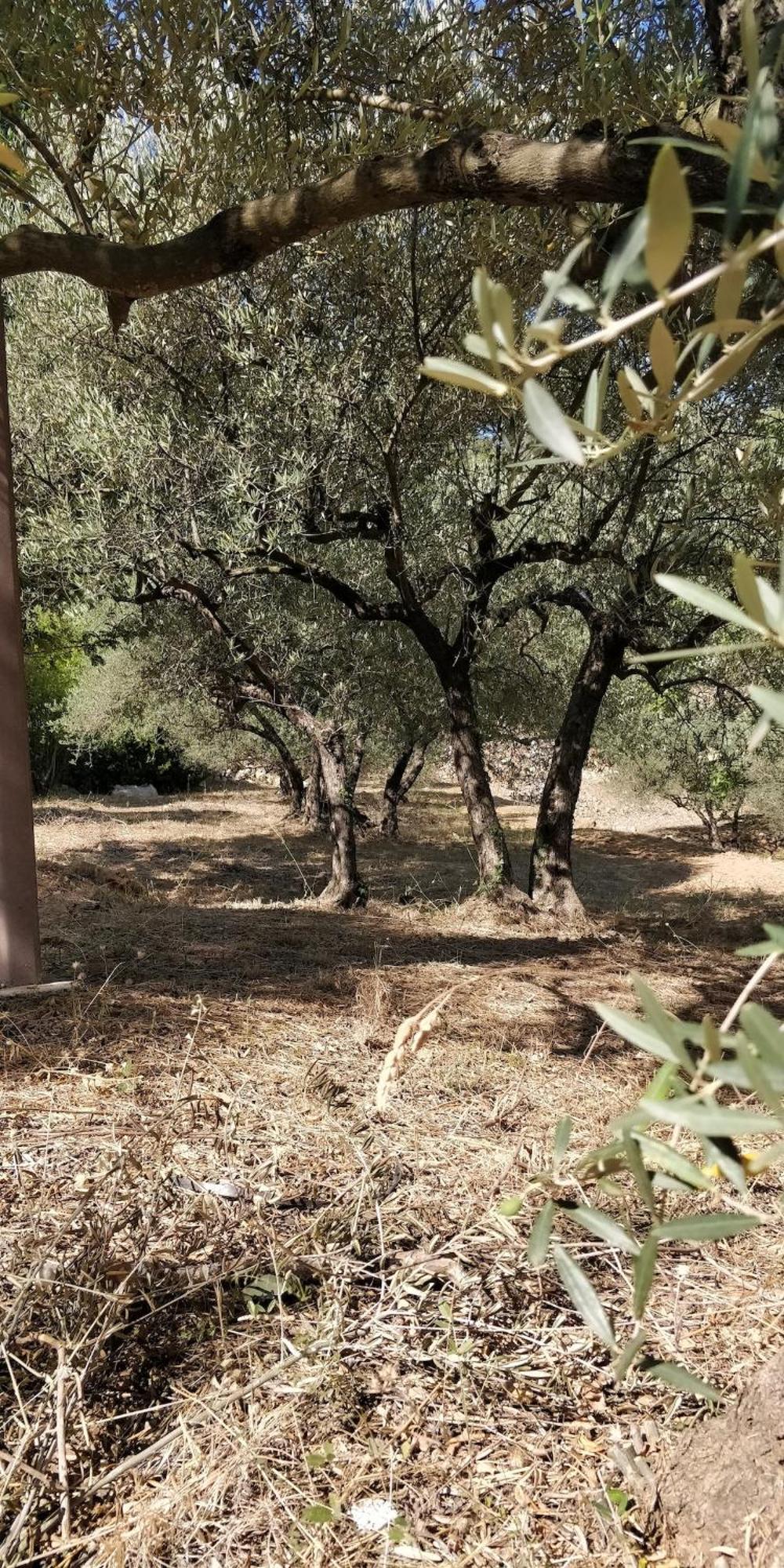 Villa Cigalons En Pleine Pinede Avec Piscine Chauffee De Mai A Septembre Auriol Exteriér fotografie